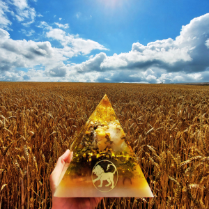 design_ohne_titel_72